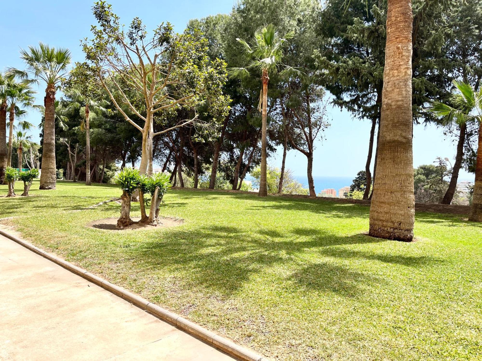 Cozy Central Studio Near The Beach 贝纳尔马德纳 外观 照片